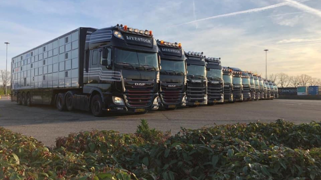 Van Rooi Livestock Lieshout afbeelding 1